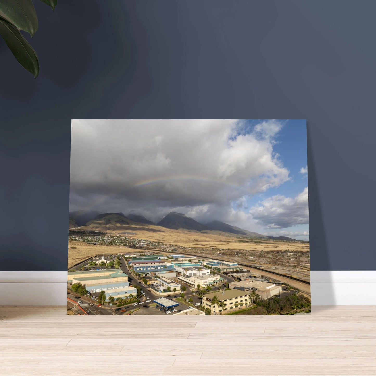 f052de48-f361-4de3-b0b2-8abb296a25a4