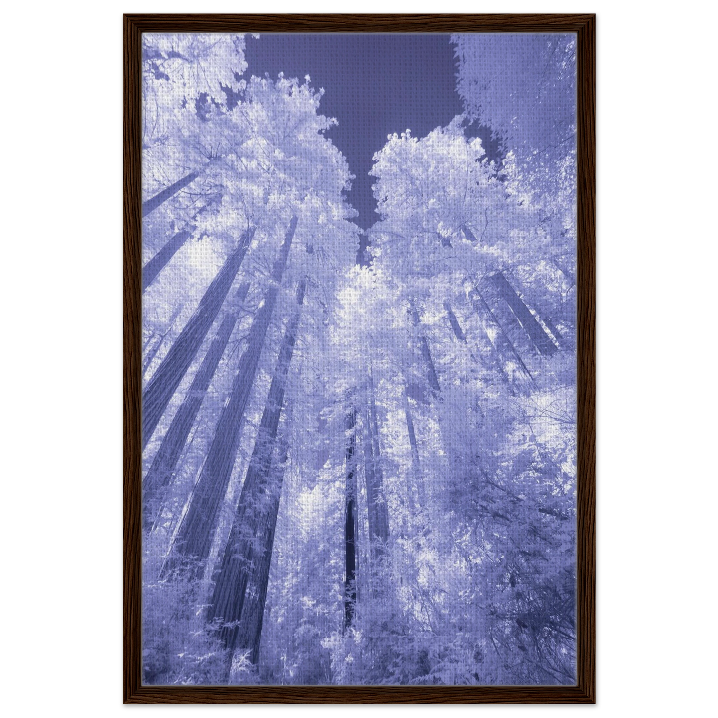 f0624598-978f-4e57-af90-0b845ad27e15
