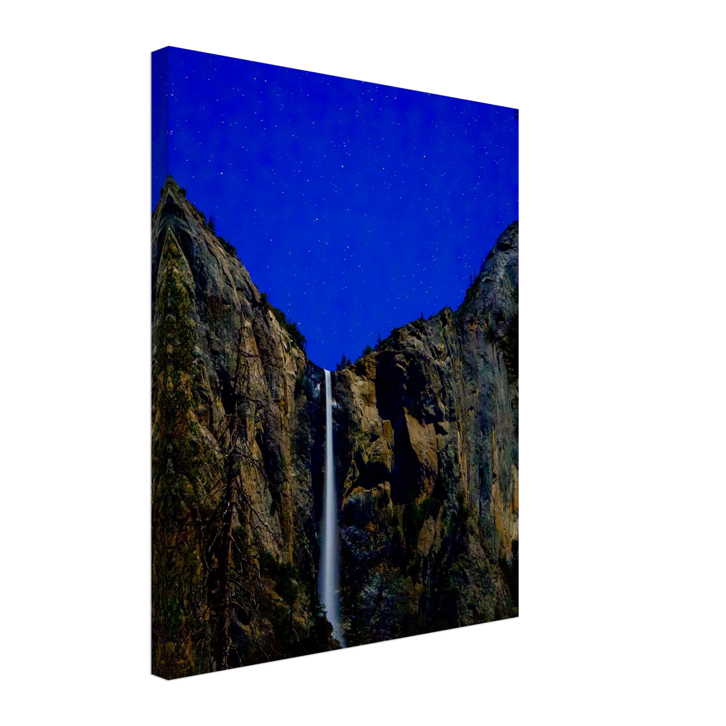 f2598c33-ce93-4d2f-a0ad-2a01457242fb