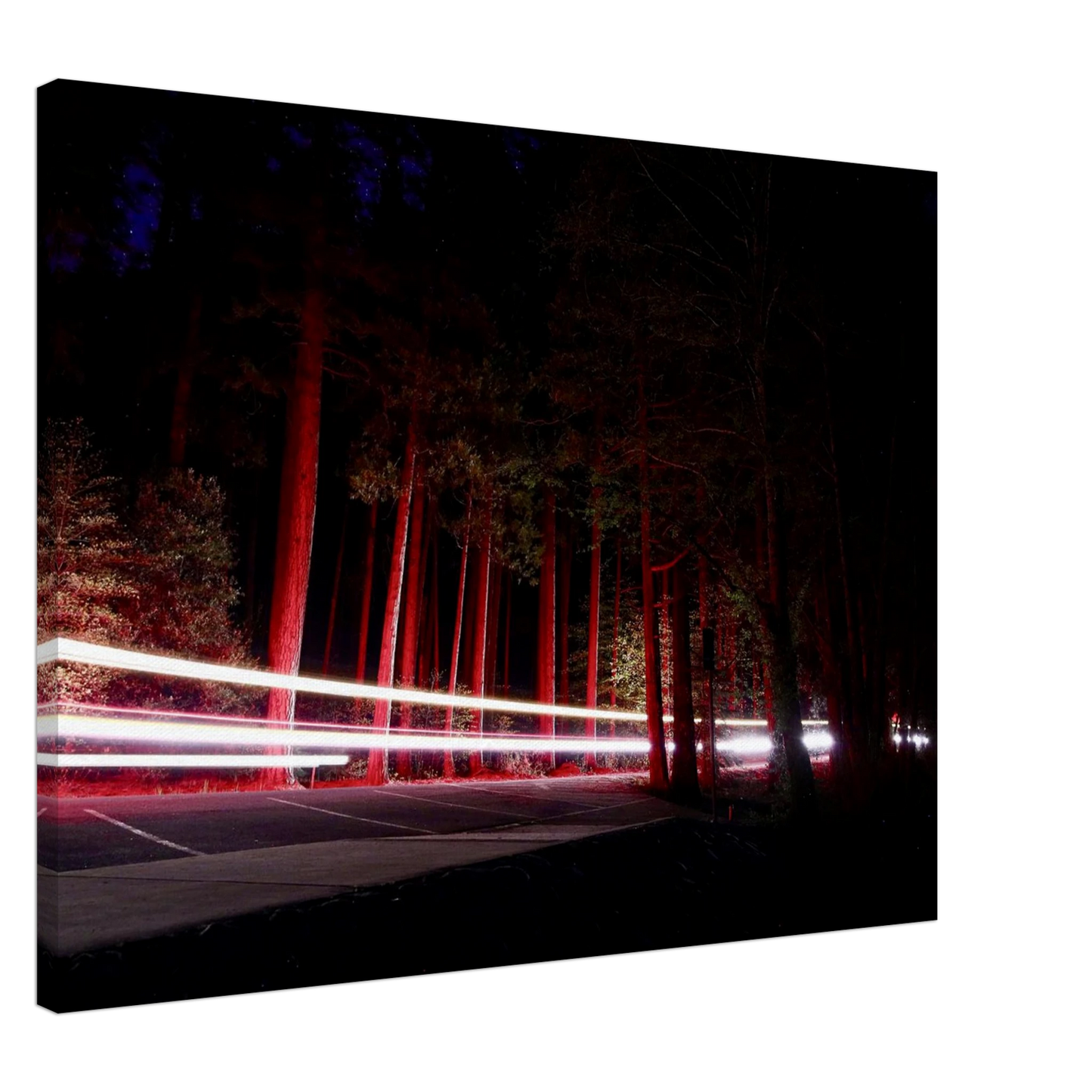 f2ba139b-bcbe-4521-bdfd-c7e2cbb7e337