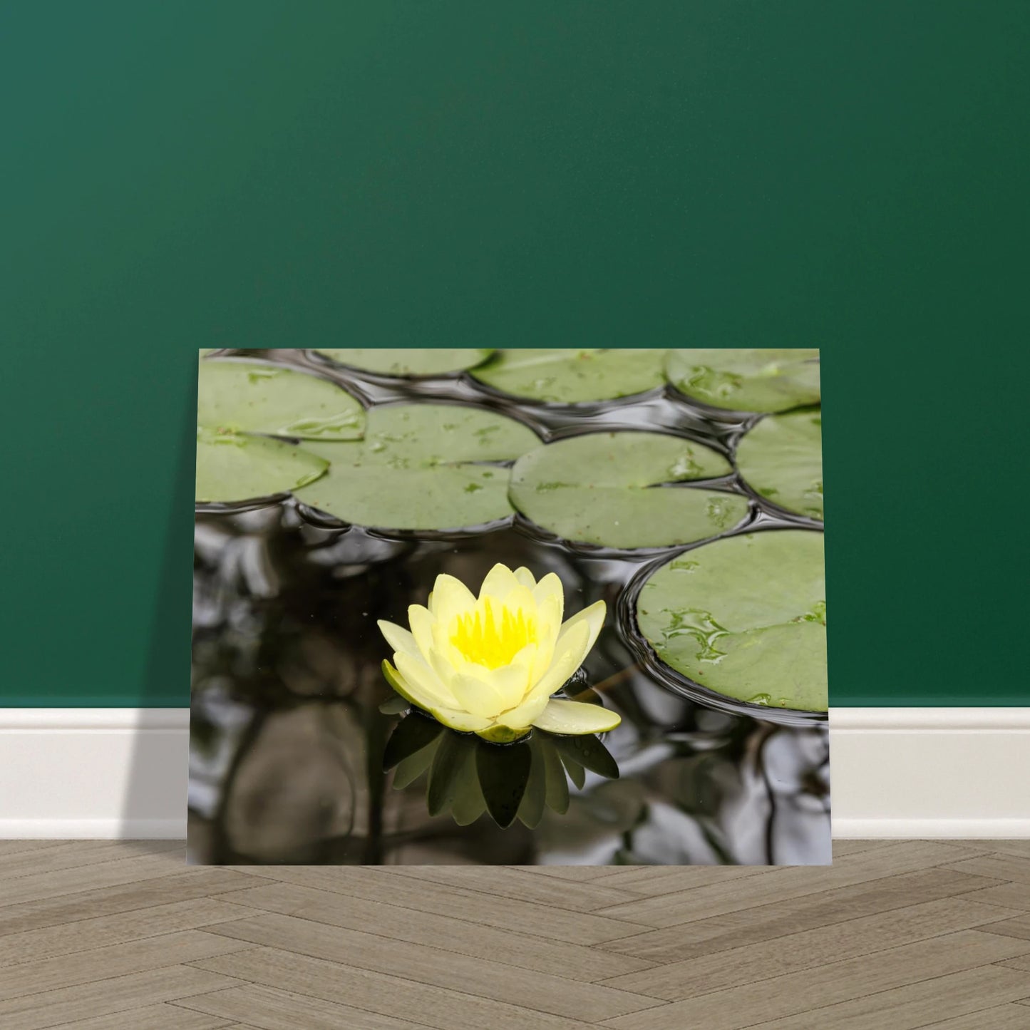 f3057d4c-c6f7-4fe0-99d0-cf1c59b070d6