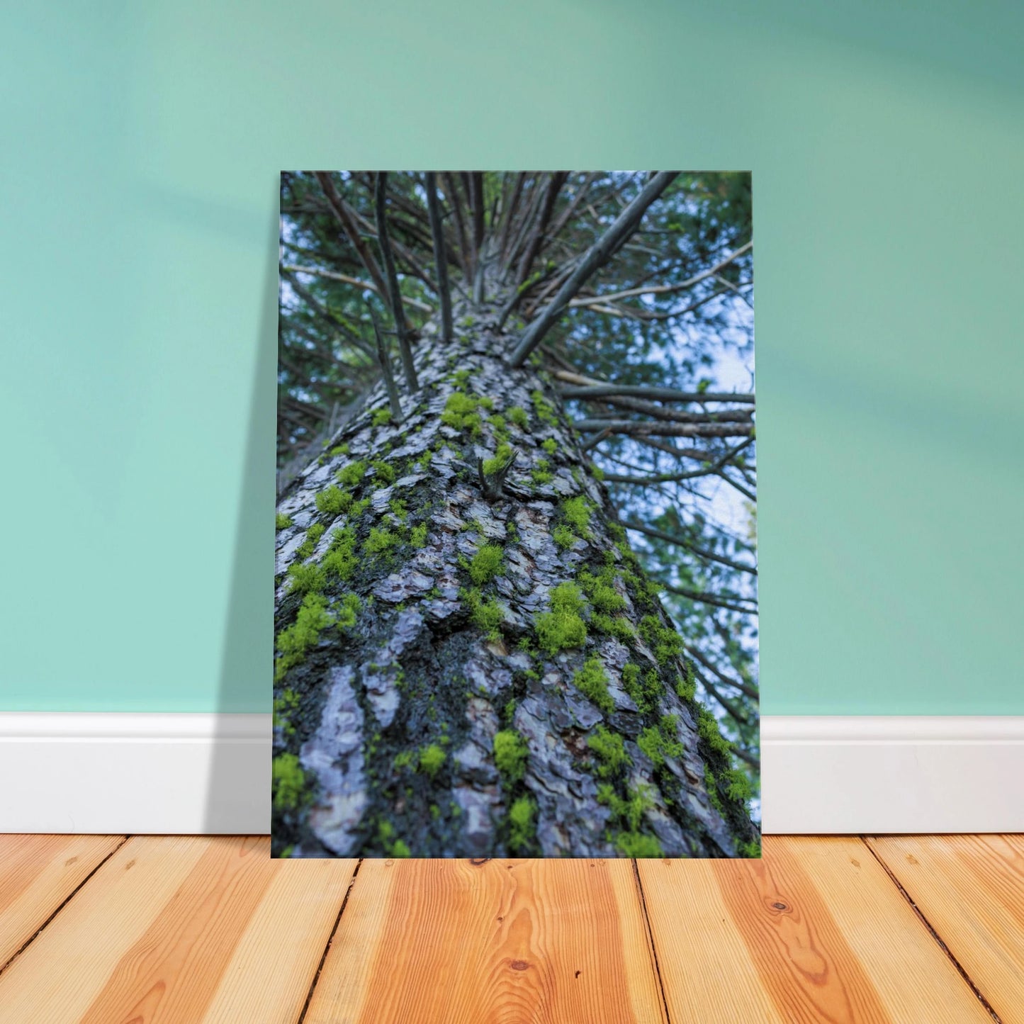 f3591409-ddd6-4eff-b0e4-8ebcbaee3fbf