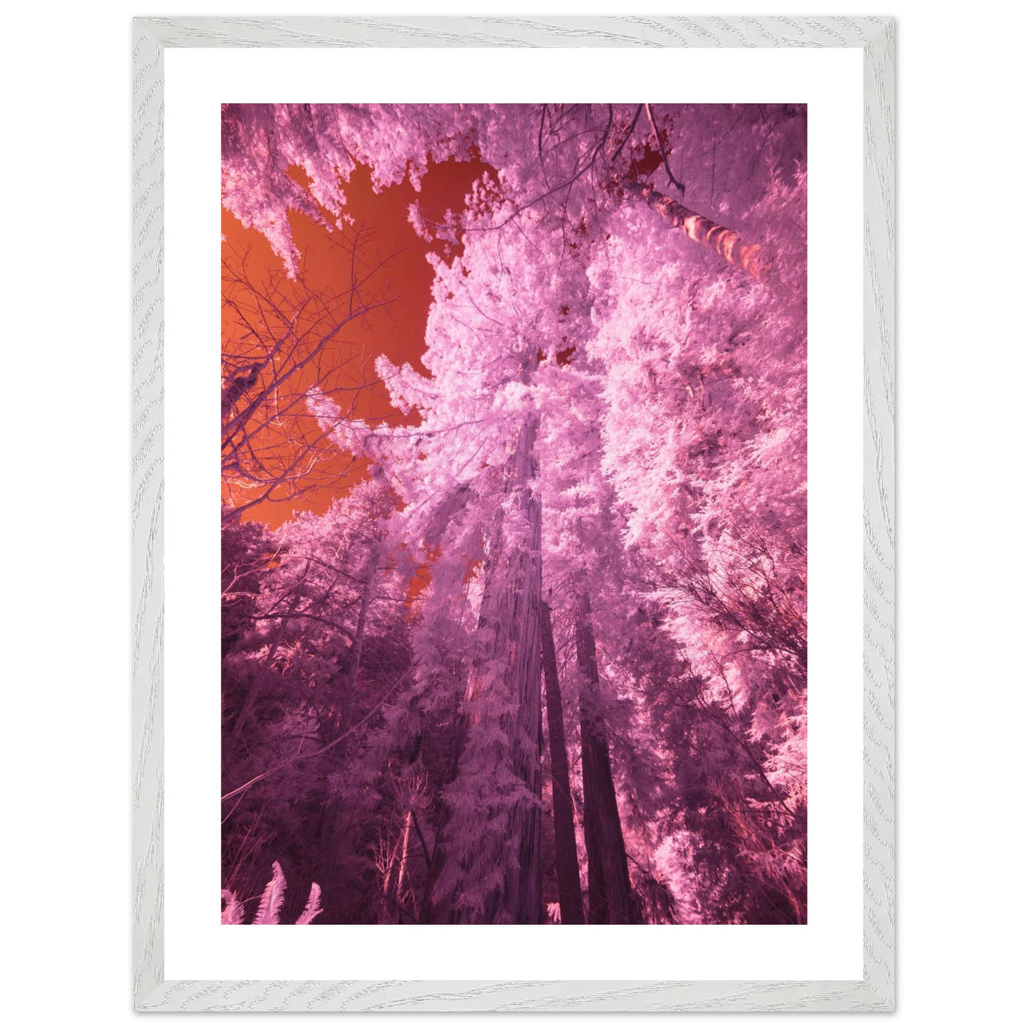 f5cc271c-a6af-48df-9604-7c3a4d07db58