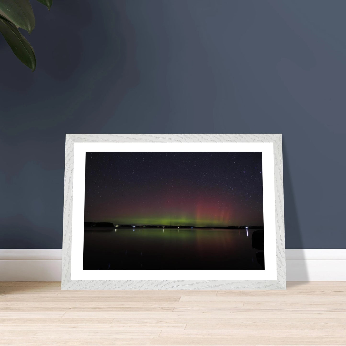 f6e95f91-5b92-470f-93fd-edddcdc11975