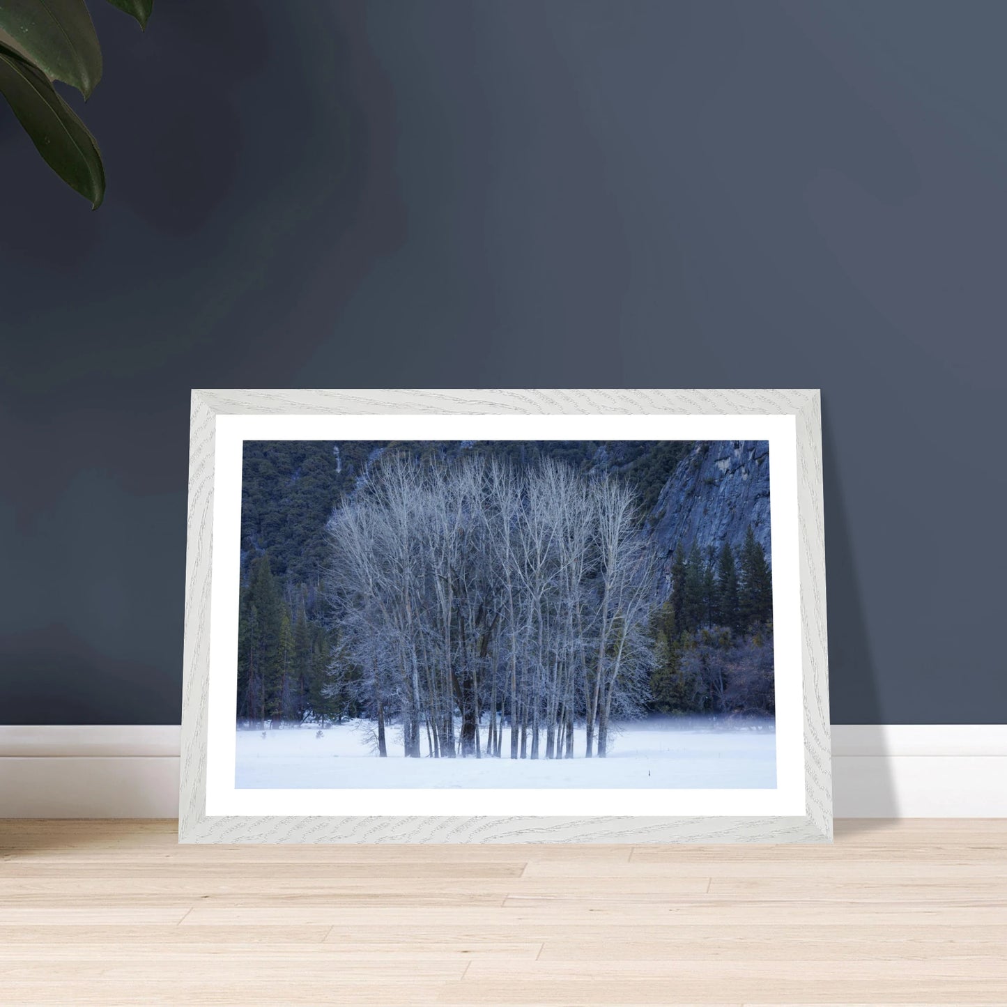 f92aaa3e-5e76-40b1-9919-04a476285c6b