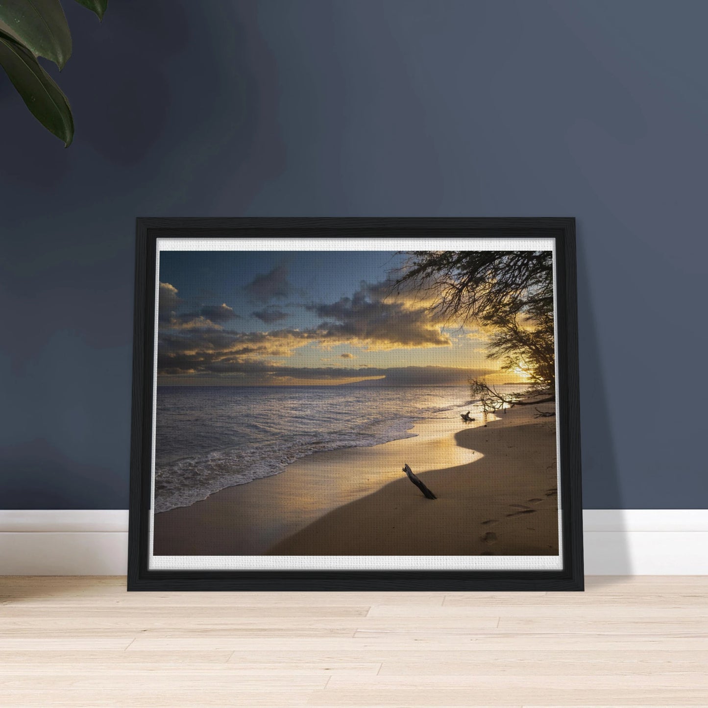 fa514ceb-250d-4f73-a8a5-2281e48c564f