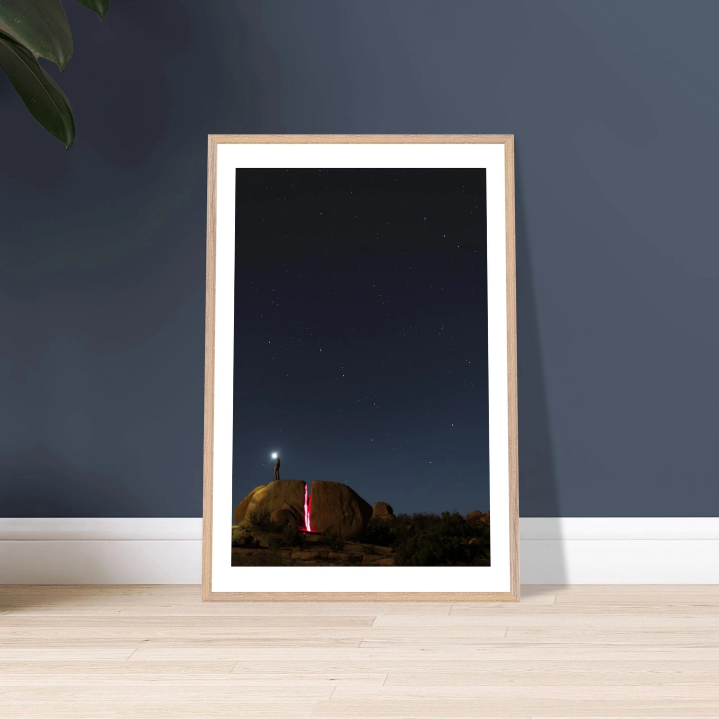 fa7f794d-5ff9-4401-95d7-56ee46cfa629