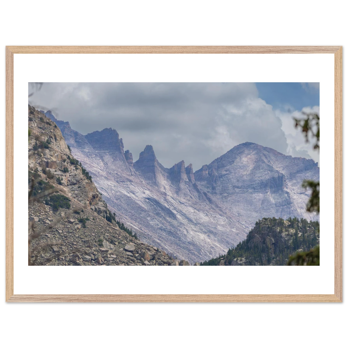 Infrared Redwoods — Dawn Sentinel — framed or canvas wall art preview