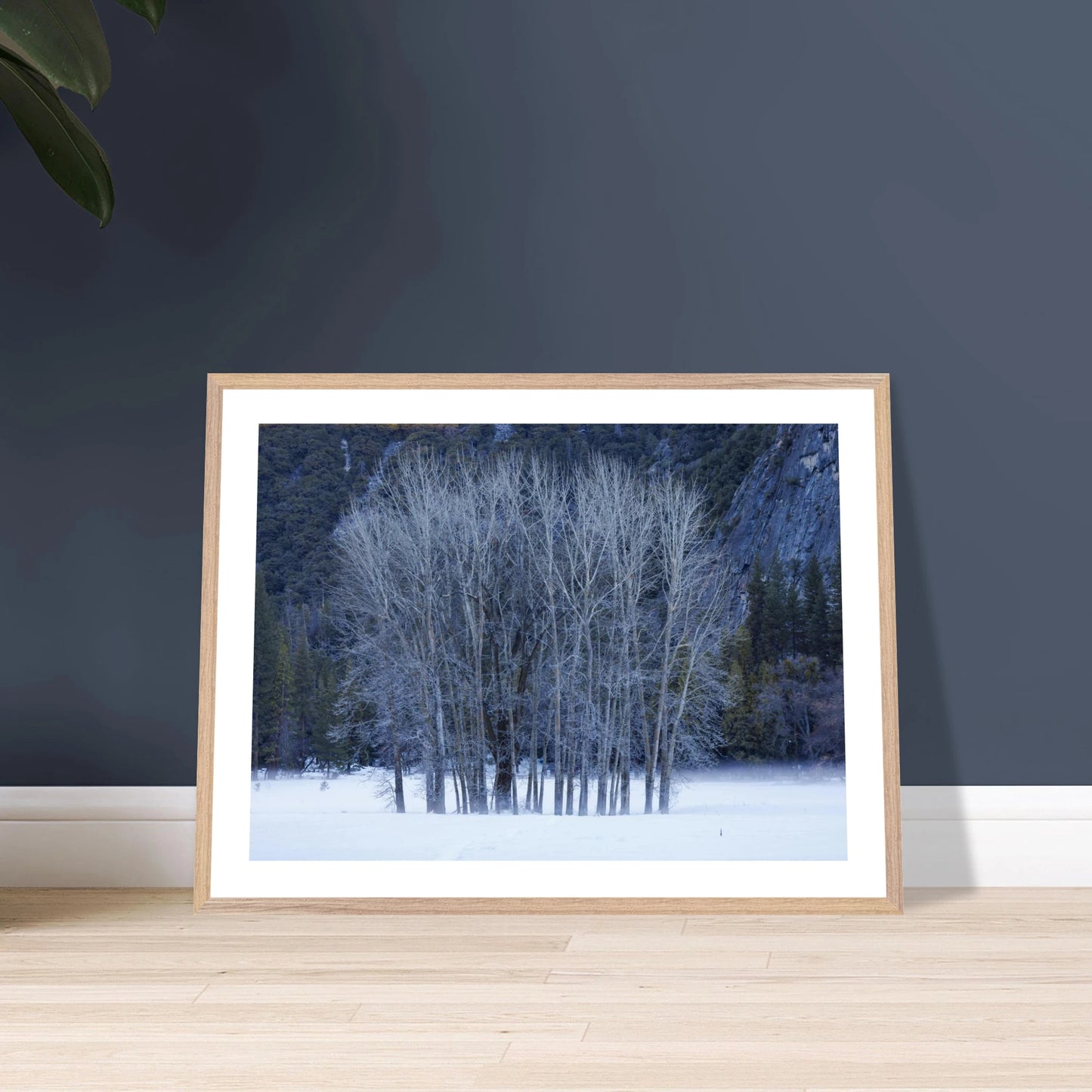 faa76535-e030-4a51-8425-55cd0c274751