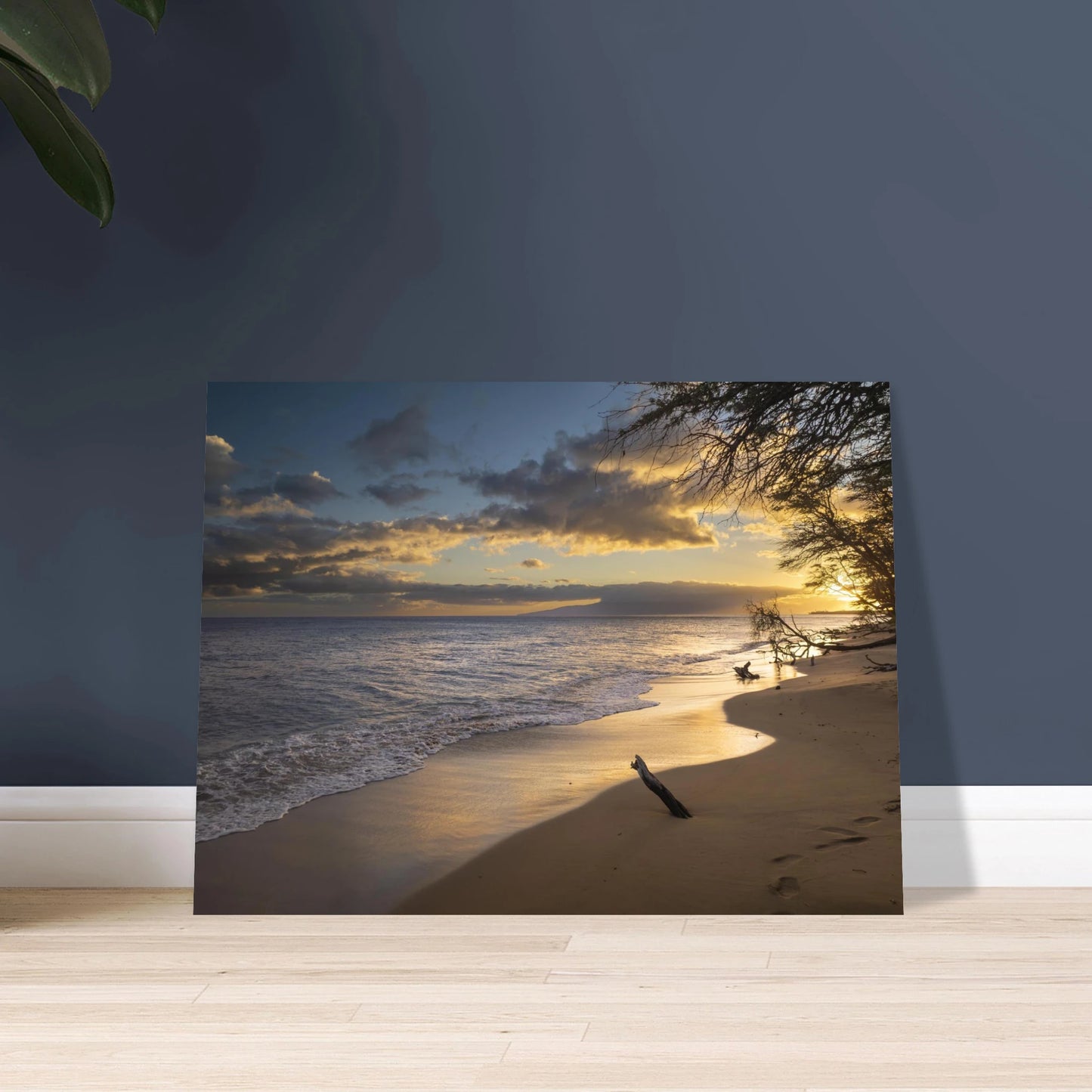 fb4d6e91-e011-47ad-9c74-7636526f64a9