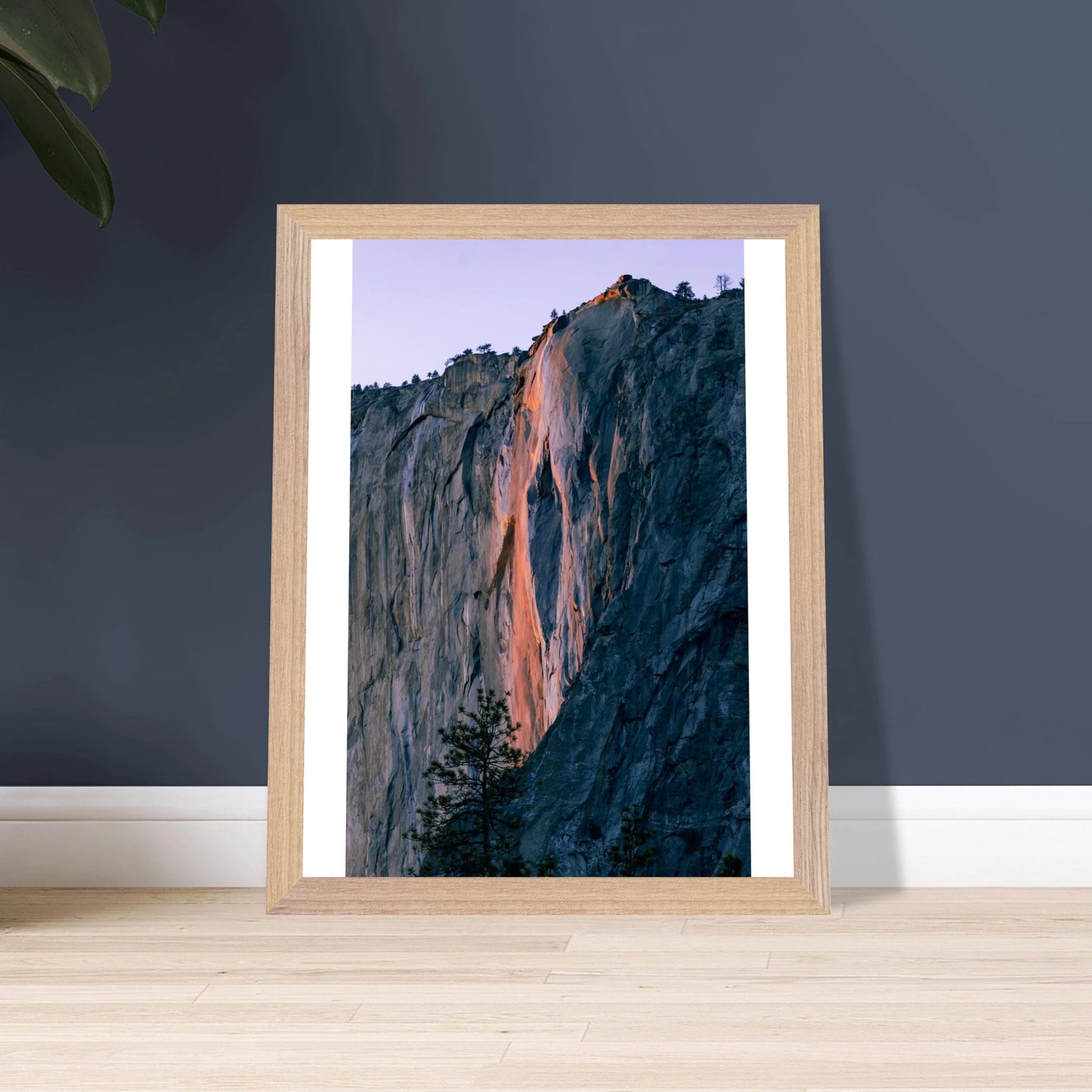 fc241384-80cb-43c0-a1f7-e0cee220625d