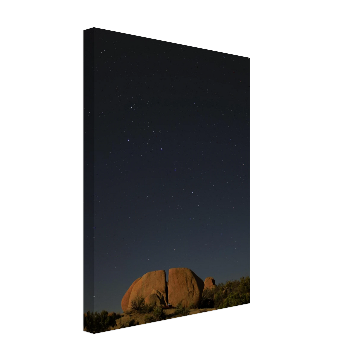 fc466f9f-1b60-4505-ab88-41895aa0ac24