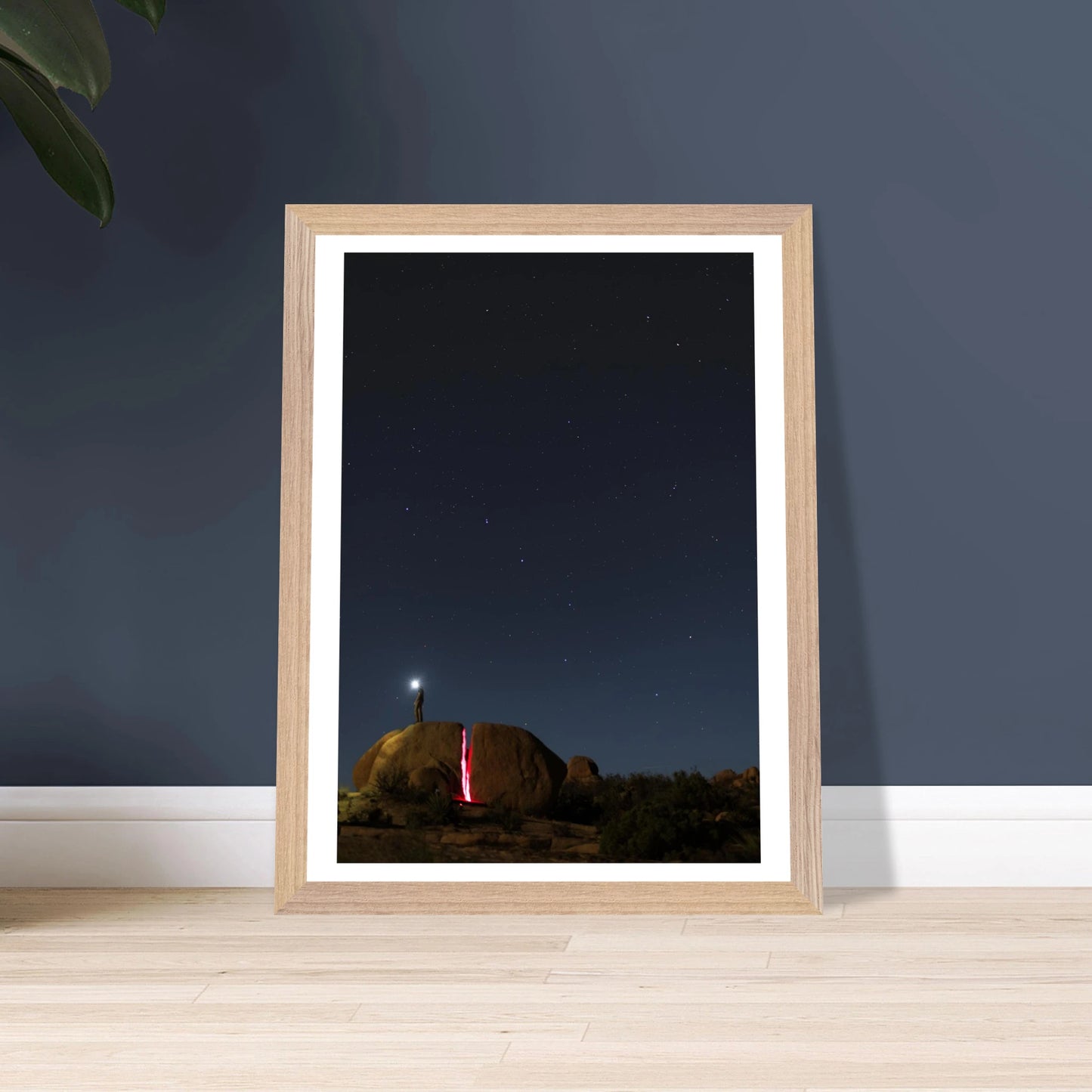 fd8b08b0-7dd9-4dae-a828-b3c2443ba281