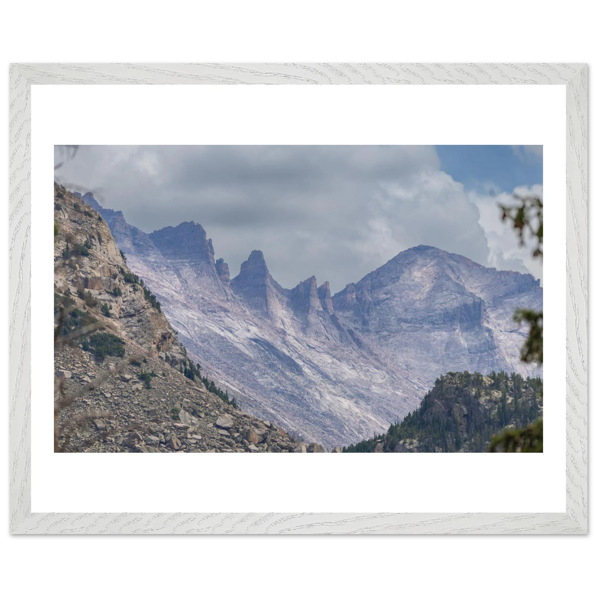 Infrared Redwoods — Dawn Sentinel — framed or canvas wall art preview